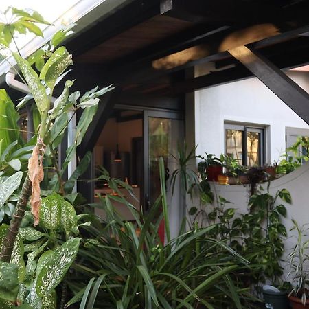 Luxury Cosy Guesthouse Pamplemousses Luaran gambar